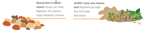 Microplex VMz Food Nutrient Complex (lifelong vitality pack) botanical blend and tummy tamer