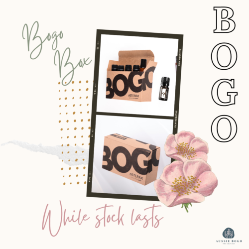 BOGO Box FAQ