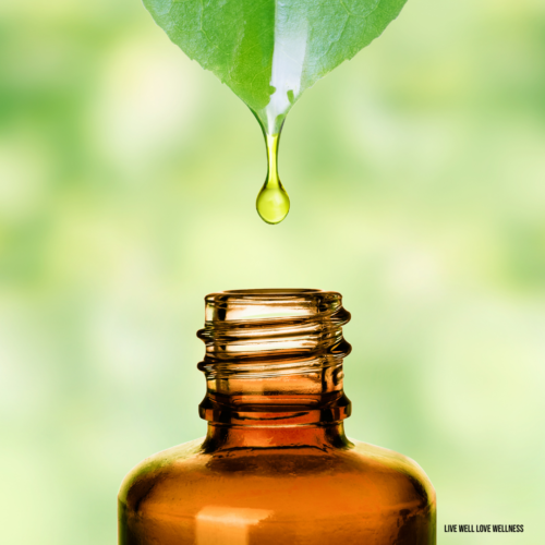 How to find Quality Essential Oils for your Natural Congestion Roller