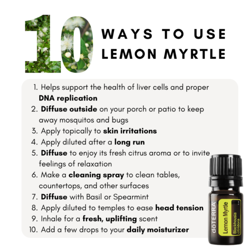 10 ways to use lemon myrtle from doTERRA Australia 