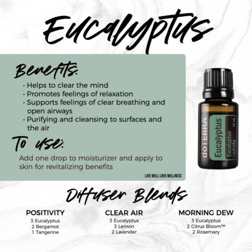 doTERRA Australia Eucalyptus offers many amazing benefits from respiratory to cleansing. It is a favorite of ours in the diffuser, massaged on the children's chest, added to a vapor rub or even a steam bath to help open up those airways.
