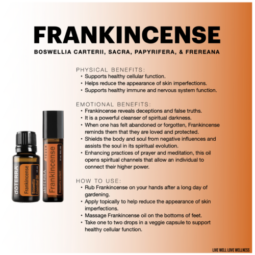 Frankincense oil and frankincense touch roller