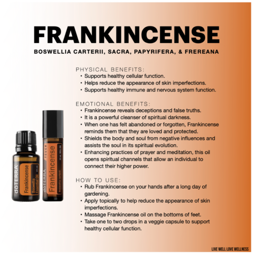 Beyond Aromatherapy: Surprising Benefits of Frankincense Essential Oil –  Frankincense Hub