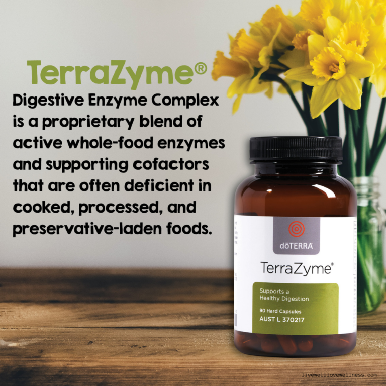 Natural Digestive Support with TerraZyme LIVE WELL LOVE WELLNESS