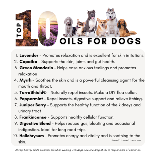 is frankincense safe for dogs - top 10 oils for dogs