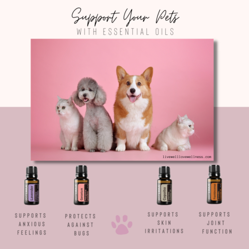 Is Frankincense Safe for Pets