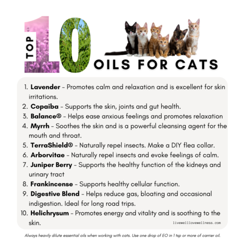 is frankincense safe for cats - top 10 oils for cats 