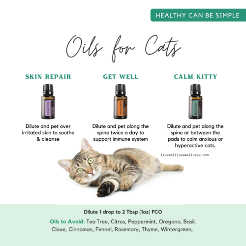 is frankincense safe for cats - oils for cats to support immune function