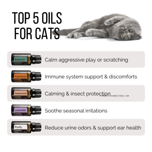 Frankincense for cats to support discomfort