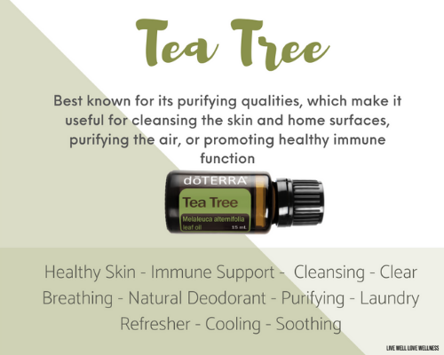 Tea Tree essential oil is one of the doterra top 10 oils