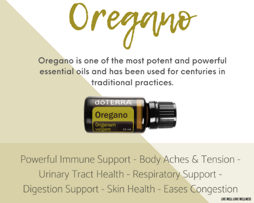 Oregano essential oil is one of the doterra top 10 oils
