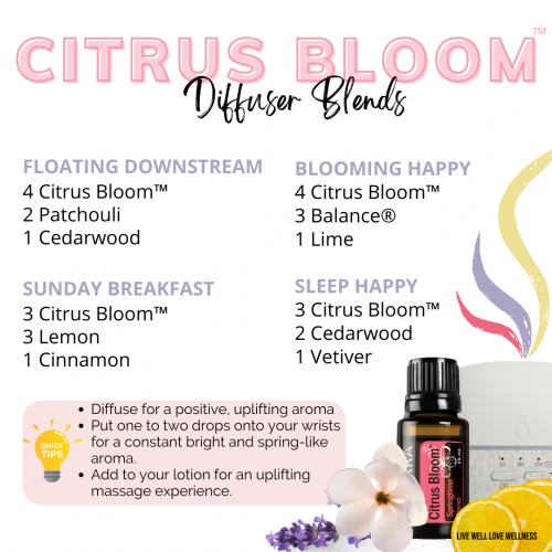 citrus bloom diffuser blends