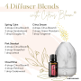 Citrus Bloom Diffuser Blends - LIVE WELL LOVE WELLNESS